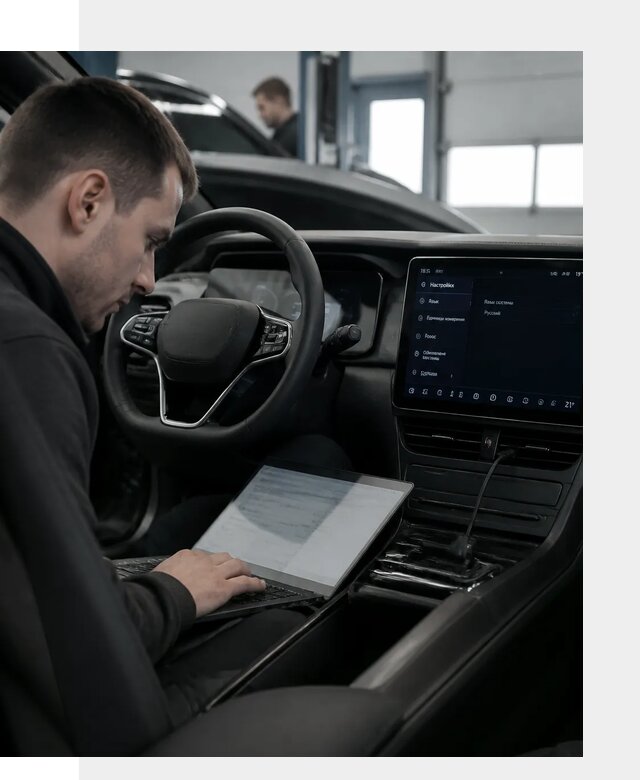 Русификация автомобилей BYD под ключ для всех моделей в Камышине