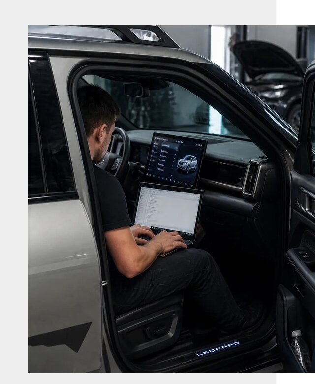 Русификация BYD Leopard 3 в Камышине по цене от 20449 р. | ФастМобиль-Кмш